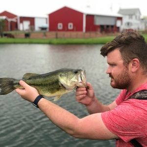 Meet your Posher, Adam